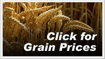 Borchers Equipment Grain Prices